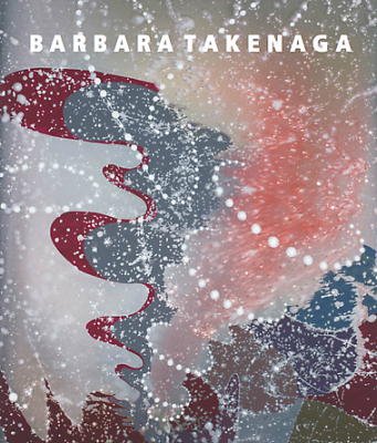 Barbara Takenaga: New Paintings, 2013