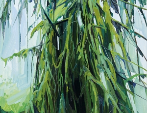 Fern Canyon, Paintings by Claire Sherman