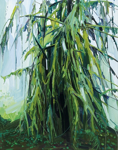 Fern Canyon, Paintings by Claire Sherman